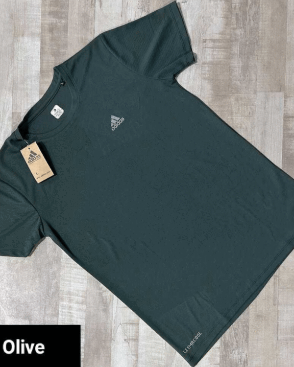 Premium quality sports Neck T-shirts